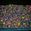 Kép 3/3 - Stég Pva-Spod Mix 800g Sweet Spicy 3-5-8mm