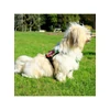 Kép 1/2 - KT. Yutipet Safety Harness (XS) - hám (biztonági, zöld) kutyák részére (36-47cm/20mm) max:5kg