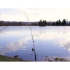 Kép 16/18 - Delphin DANGER CatFISH - 310cm/350g/2rész