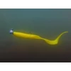 Kép 11/11 - Grub-tartóval ellátott Delphin TYRE jigfej / 5 db - 20g-4/0