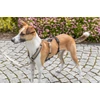 Kép 2/2 - Trixie Stay Panic-adaptor for harnesses, (szökésbiztos) hámhoz csatlakoztatható védelem - fekete, M–L: 46–72 cm/20 mm
