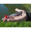 Kép 11/13 - DuoPACK BOX Delphin Realix 3D / 6 x 2 db - 13cm / Pike