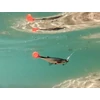 Kép 13/13 - Műcsali Delphin Realix 3D / 2 db - 13cm / Minnow