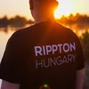 Kép 3/8 - Rippton Hungary pulóver - L
