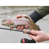 Kép 10/19 - Delphin TROUTERA HardLure - 210cm/2-7g/2 rész