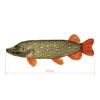 Kép 2/7 - Delphin PIKY Plüss Csuka - 60 cm