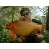 Kép 4/7 - Delphin CARPY Plüss Ponty - 60 cm