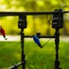 Kép 89/140 - Rippton - JX1 összecsukható rod pod