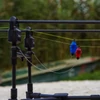Kép 25/41 - Rippton - X1 Merevkaros és láncos swinger 2in1 - 3 db-os(hordtáskával)