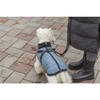 Kép 2/3 - Trixie Coat Pontis with Harness - kabát hámmal (kék, vízlepergető) kutyák részére (XS) 27cm