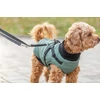 Kép 2/2 - Trixie Coat Pontis with Harness - kabát hámmal (zsálya, vízlepergető) kutyák részére (S) 36cm