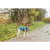 Kép 2/2 - Trixie Dog raincoat Vimy - esőkabát (benzin) kutyák részére (M) 50cm