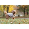 Kép 2/2 - Trixie Kenton Pullover - pulóver (homok) kutyák részére (XXS)18cm
