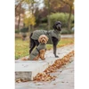 Kép 2/2 - Trixie Minot Dog Coat - kabát (olívazöld) kutyák részére (S) 33cm