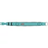 Kép 2/2 - Trixie premium collar, extra wide (XS) - nyakörv (extra széles,aqua/grafit) kutyák részére (XS-S) 27-35cm/25mm