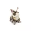 Kép 1/4 - Plüss Maine Coon macska szürke 36cm