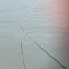 Kép 7/7 - Daiwa N'ZON SUPER SLIM FEEDER 3,96m -150g