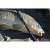 Kép 9/9 - By Döme TEAM FEEDER Power Fighter Feeder 360XXH 50-180g