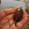 Kép 2/2 - CARP ACADEMY Method etetőkosár XL 100g