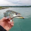 Kép 3/3 - Reiva Ultra Strong Jig Head 2/0-3,5g  4db/cs