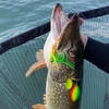 Kép 3/3 - REIVA Powerflex Spinnerbait 14g (Parrot)