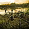 Kép 2/2 - CARP ACADEMY Feeder Bottartó készlet ECO 40-70cm