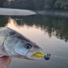Kép 2/2 - REIVA Fluorocarbon előke 2/cs 30cm/0,40mm