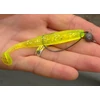 Kép 2/2 - Reiva Offset Worm 1-es  5db/cs