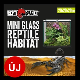 Repti Planet mini Glass Reptile Habitat - üveg terrárium  (20x20x20cm)