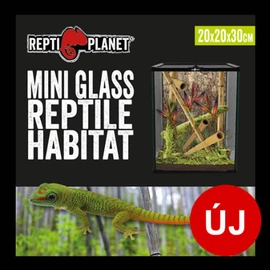 Repti Planet mini Glass Reptile Habitat - üveg terrárium  (20x20x30cm)