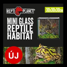 Repti Planet mini Glass Reptile Habitat - üveg terrárium  (20x20x30cm)