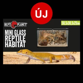 Repti Planet mini Glass Reptile Habitat - üveg terrárium  (50,5x30,5x25cm)