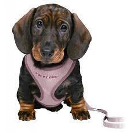 Trixie Junior Puppy Soft Harness with Leash - hám és póráz (világos lila) kölyök kutyák részére 26–34 cm/10mm, 2m