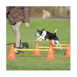 Trixie Sporting Obstacle Set - agility akadály (ugró akadály) kutyák részére (Ø23cm x 30/78cm)