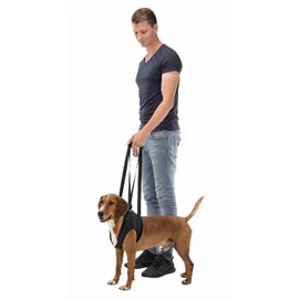 Trixie Walking Aid - Sétáltatást segítő kutyahám - fekete - (M) 55–65cm/25kg