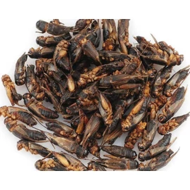 Trópus Dried Cricket - kiegészítő eleség (szárított tücsök) rágcsálók,madarak, sünik és hüllők részére (40g)