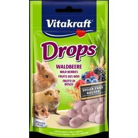 Vitakraft Drops (erdei gyümölcs) - jutalomfalat rágcsálóknak (75g)