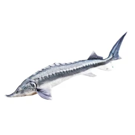 PILLOW THE BELUGA STURGEON 140CM