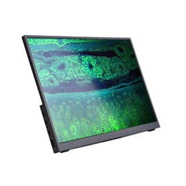 MAGUS MCD20 LCD monitor