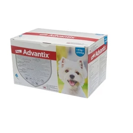 ADVANTIX SPOT-ON 1ML (4-10KG) 24 db