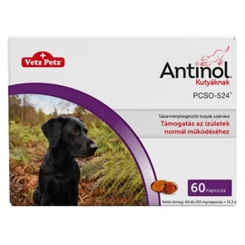 ANTINOL KUTYÁKNAK