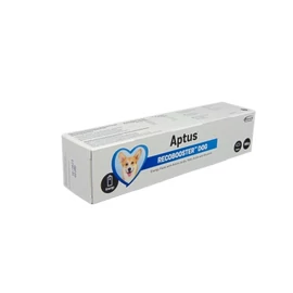 APTUS RECOBOOSTER DOG PASZTA 100 g