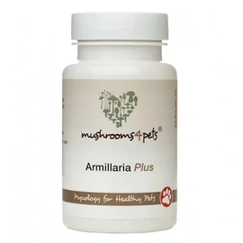 ARMILLARIA PLUS 60 kapszula