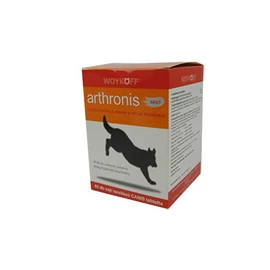 Arthronis 1. fázis