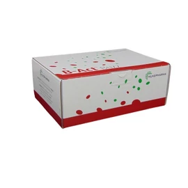 B-ACT BUZZ PEZSGŐTABLETTA 20 tabletta