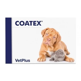 Coatex kapszula 60 db