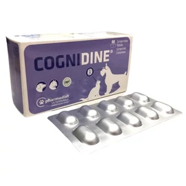 COGNIDINE TABL. 60 tabletta