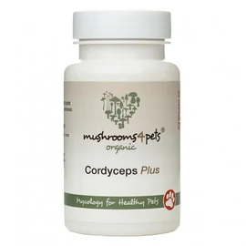 CORDYCEPS PLUS (500 MG) 60 kapszula