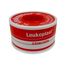 RAGTAPASZ LEUKOPLAST 4,6 M X 2,5 CM 1X