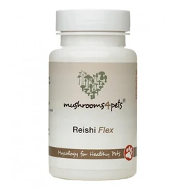 REISHI FLEX 60 kapszula